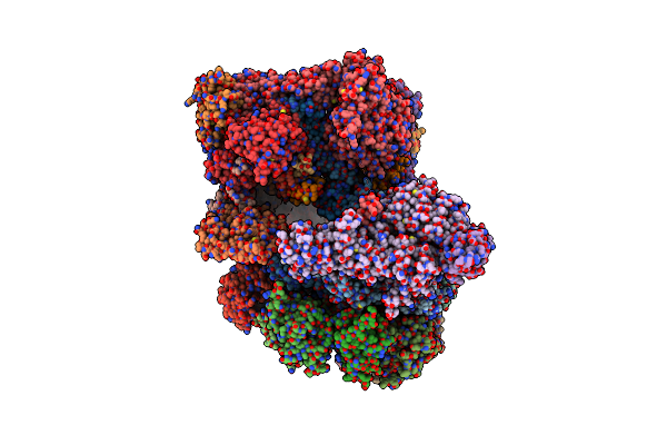 9E8L image