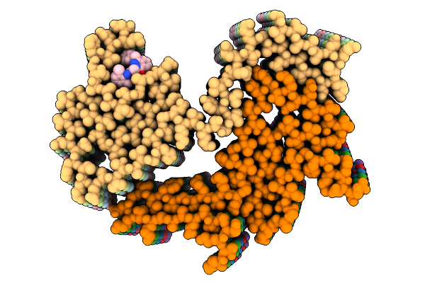 9E8X image
