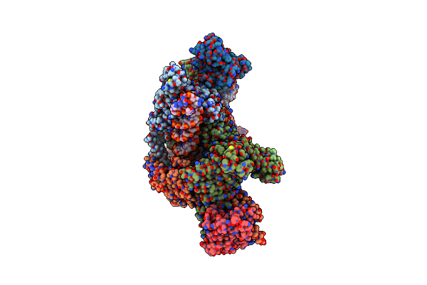 9E8Z image