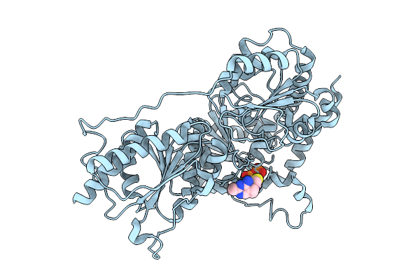9E9B image