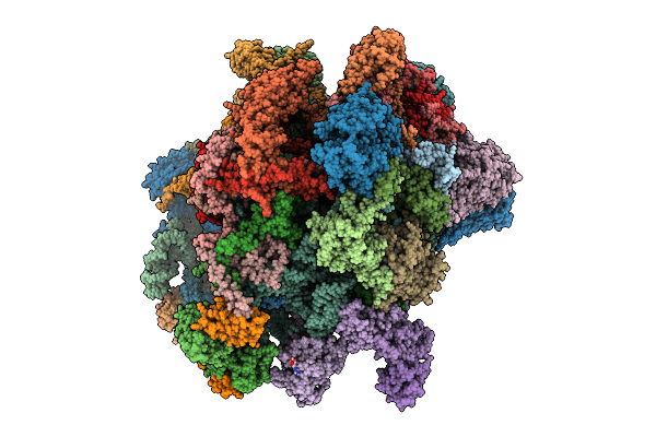 9E9C image