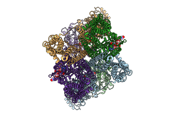 9E9D image
