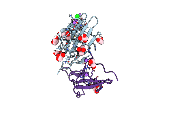 9E9G image