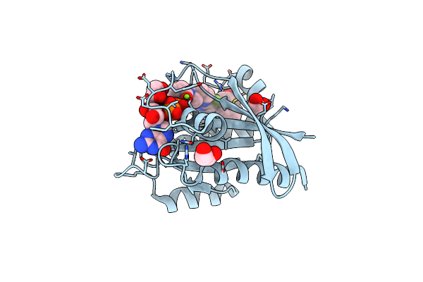 9E9I image