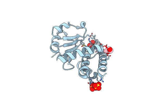 9E9L image