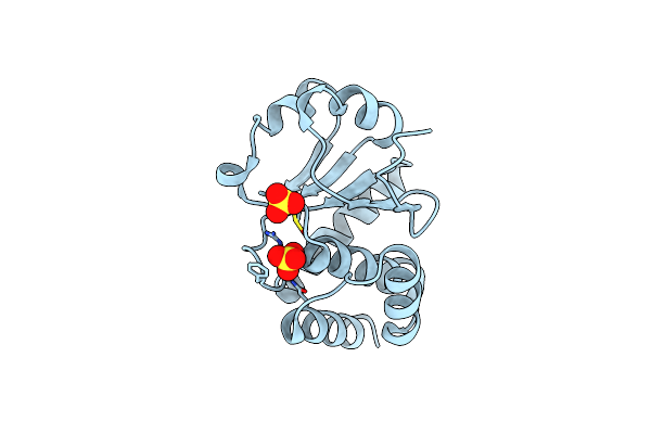 9E9M image