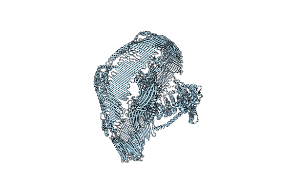 9E9R image