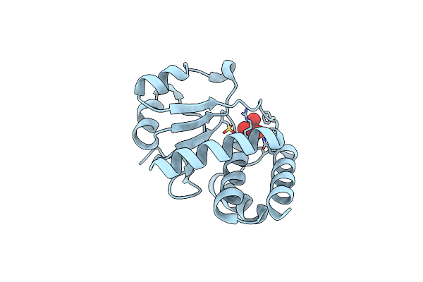 9E9U image