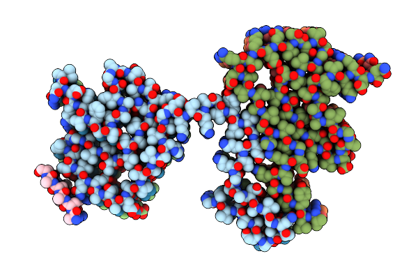 9E9X image