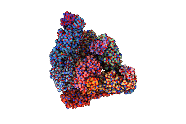 9E9Y image