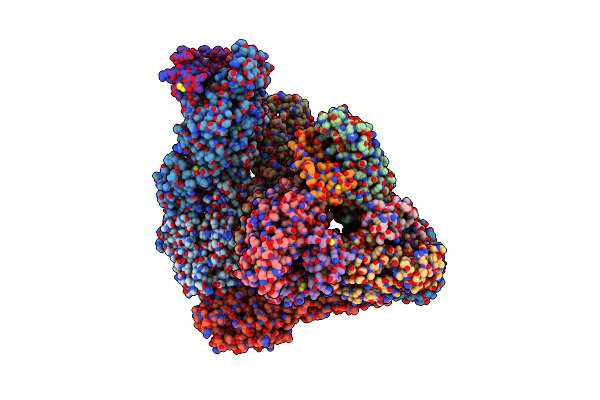9E9Z image