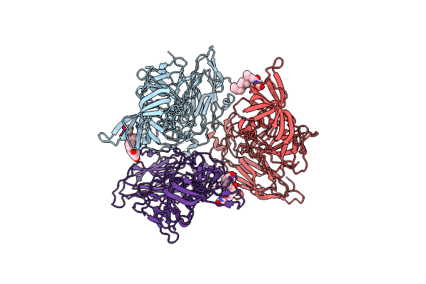 9EAP image
