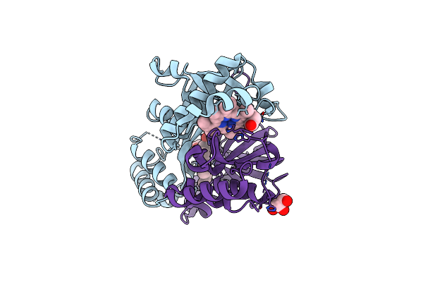 9EBK image
