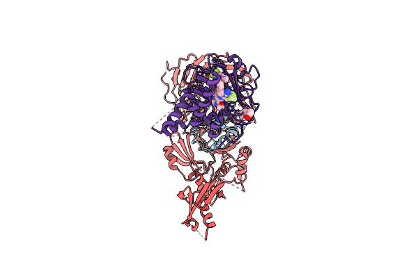 9EBS image