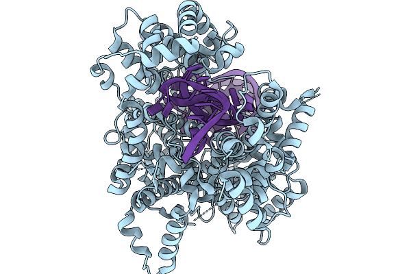 9EBU image