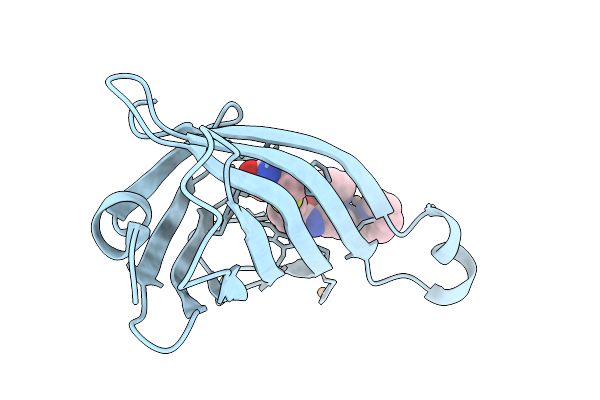 9EC5 image
