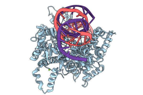 9EC9 image