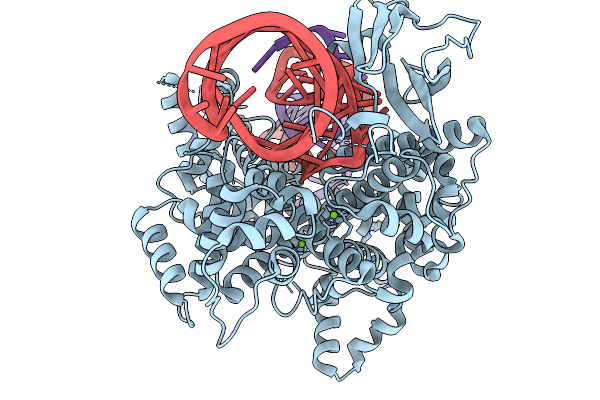 9ECA image