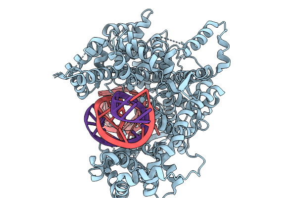 9ECC image
