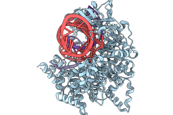9ECD image