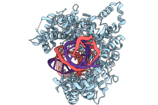 9ECE image