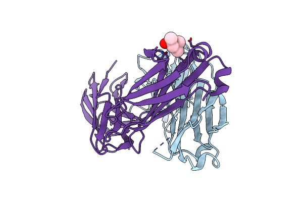 9ECI image