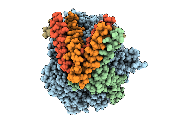 9ECV image