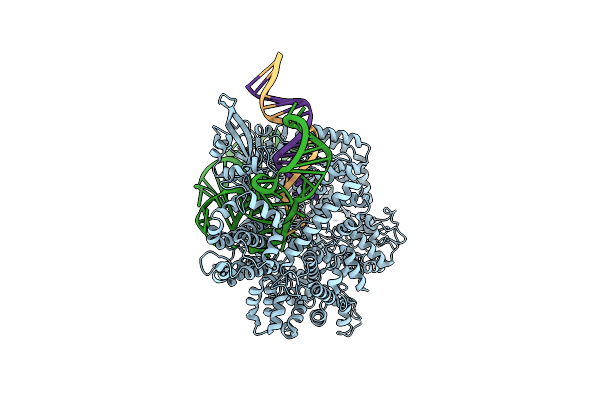 9EDB image