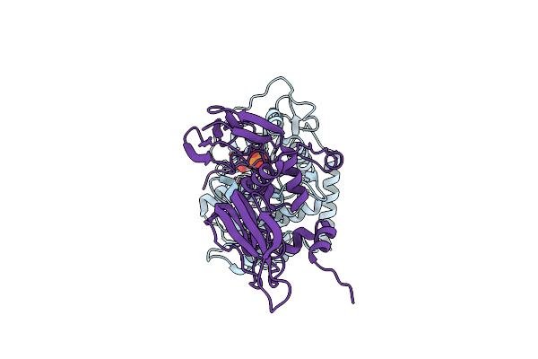 9EDD image