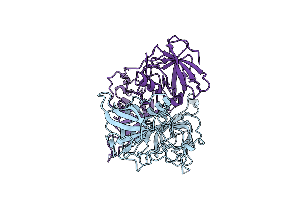 9EDO image