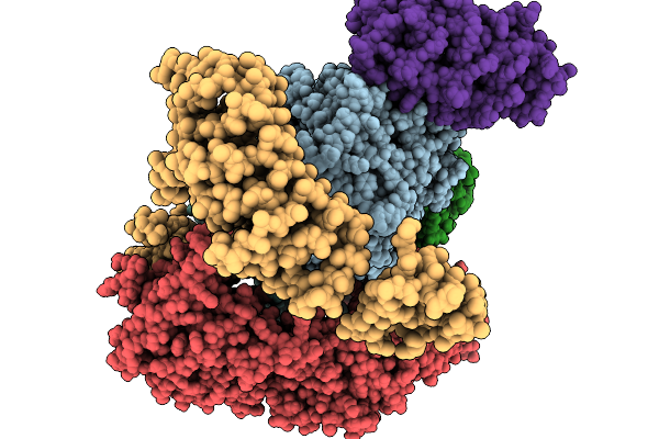 9EDR image