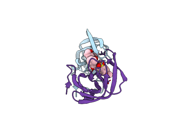 9EEG image