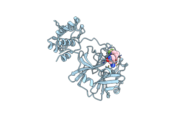 9EEV image