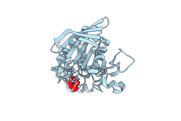 9EEX image