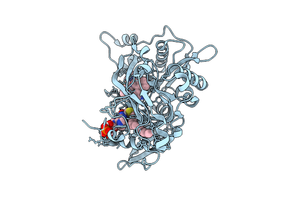 9EF8 image