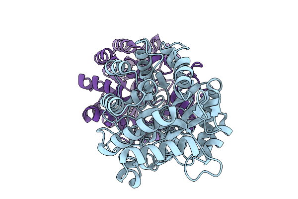 9EFA image