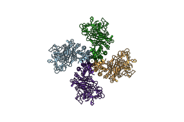 9EFG image