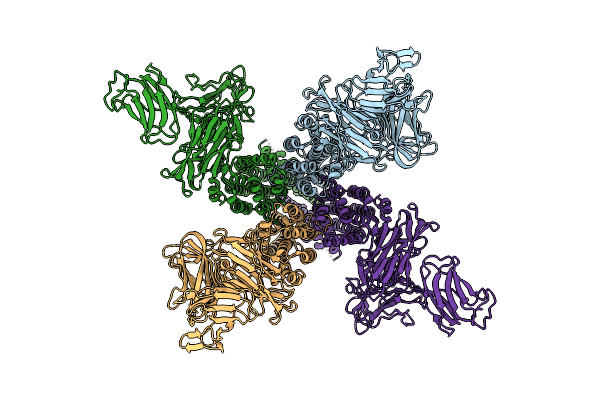 9EFI image