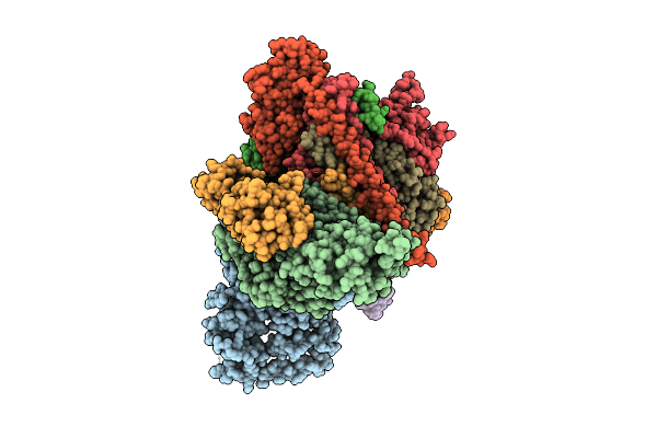 9EFV image