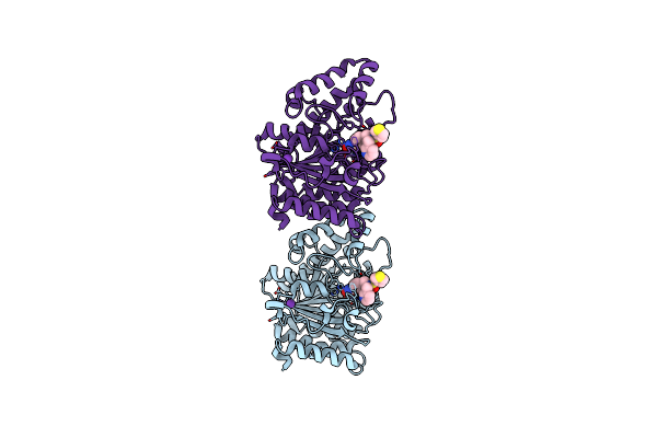 9EGU image