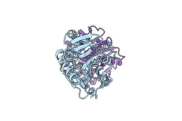 9EH6 image