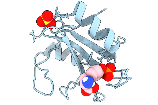 9EHA image