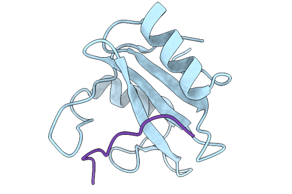 9EHD image