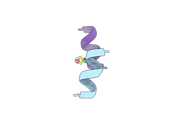 9EHP image