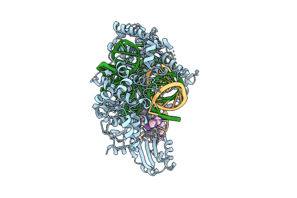 9EHR image