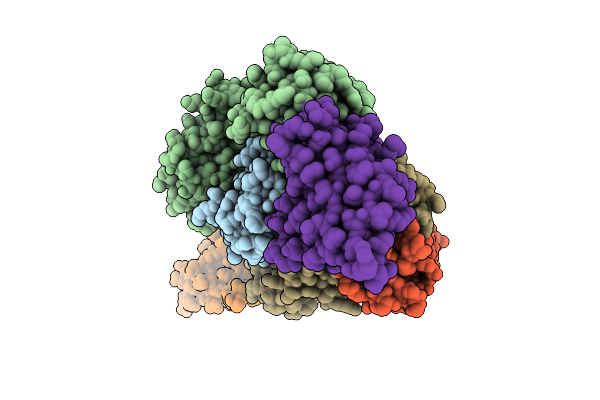 9EHT image