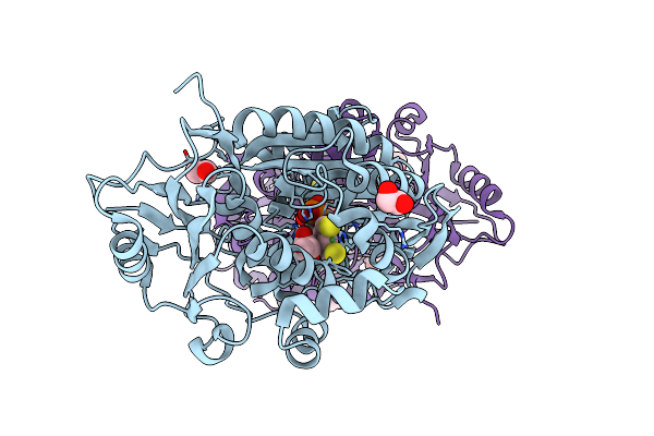 9EIA image