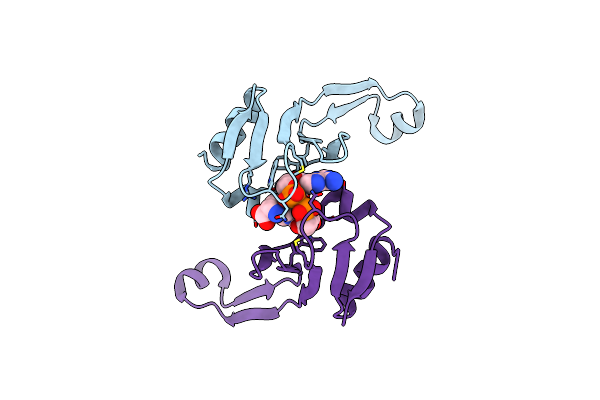 9EIB image