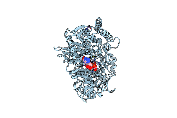 9EIV image