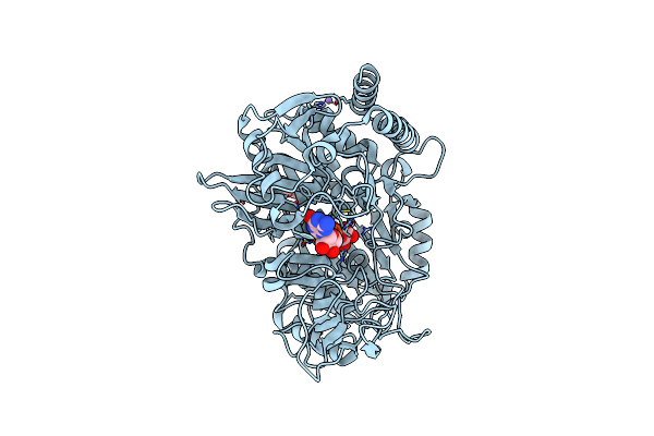 9EJ0 image